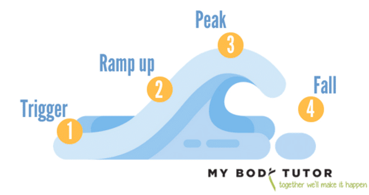 Urge Surfing A mindful way to conquer cravings! My Body Tutor